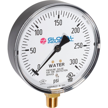 4 Pressure Gauge, 300 PSI, 1/4 NPT, Polycarbonate